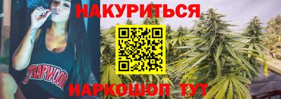 стаф Новокубанск