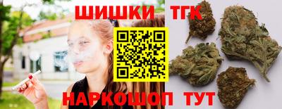 стаф Новокубанск