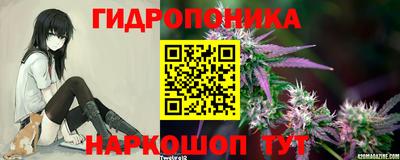 метадон Новозыбков