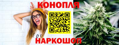 метадон Новозыбков