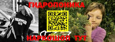 стаф Новокубанск