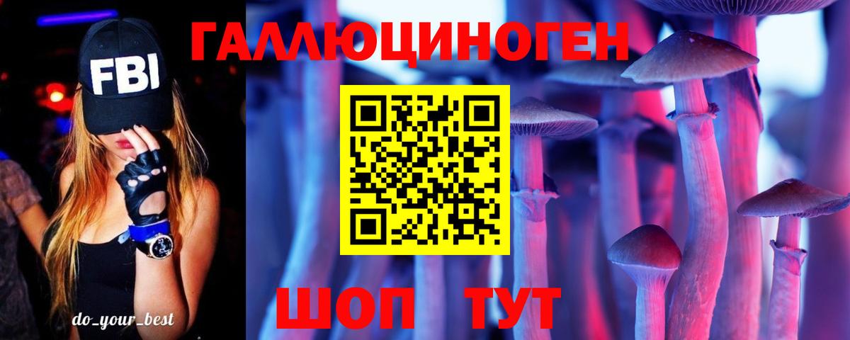Тара  Галлюциногенные грибы Psilocybine cubensis  Вход с VPN  Галлюциногенные грибы прущие грибы 